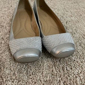 Silver Naturalizer Flats